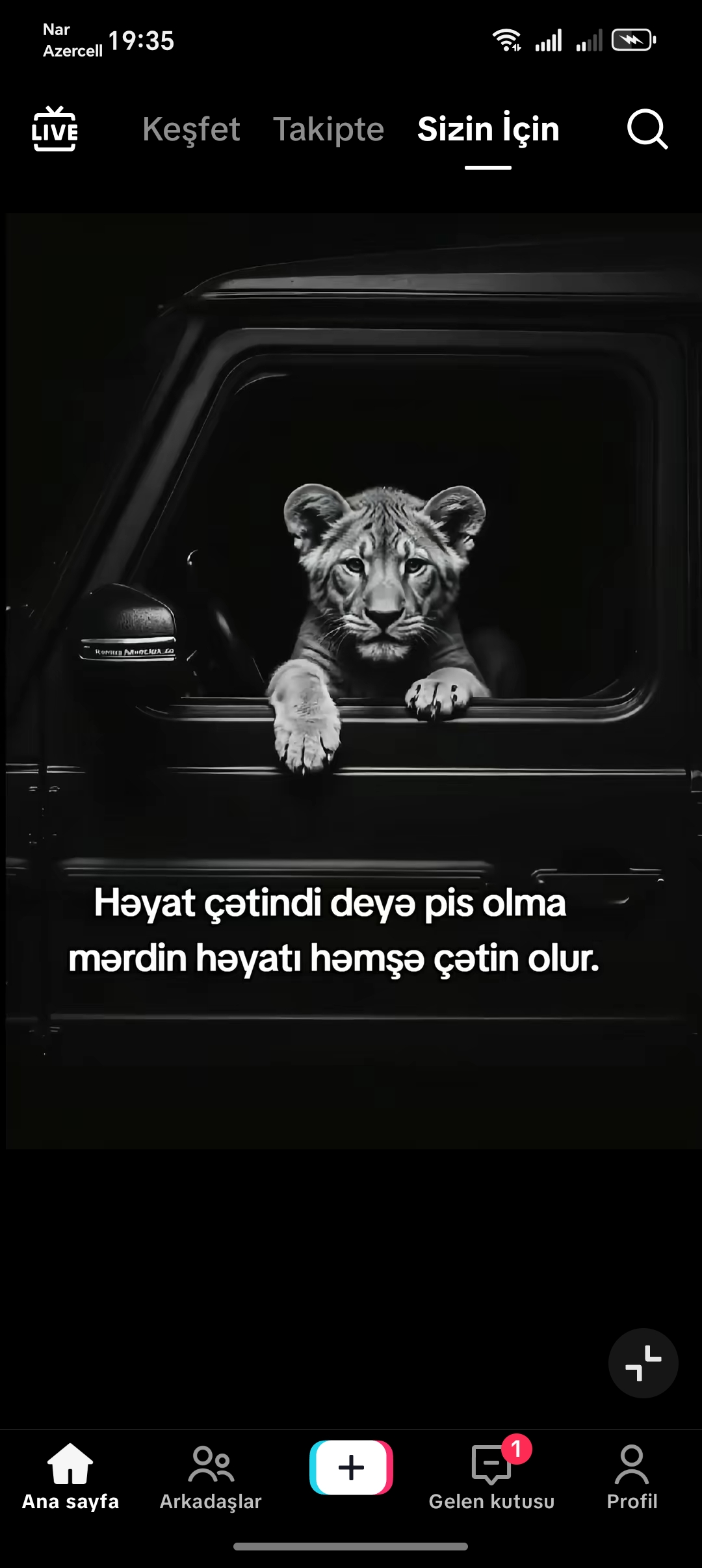 Kamil E.